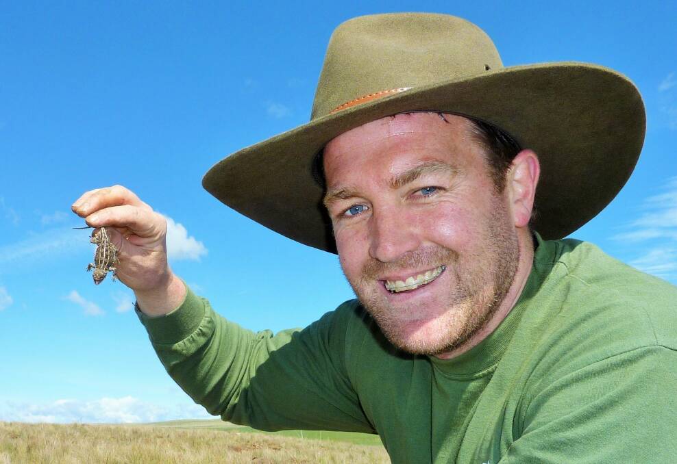 Tim McGrath with a grassland earless dragon on the Monaro. Photo: Tim the Yowie Man