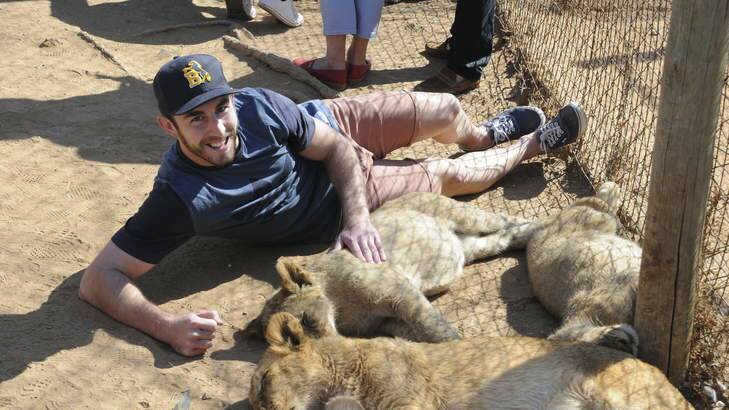 Brumbies scrumhalf Nic White gets up close with a lion cub in Johannesburg. Photo: Chris Dutton