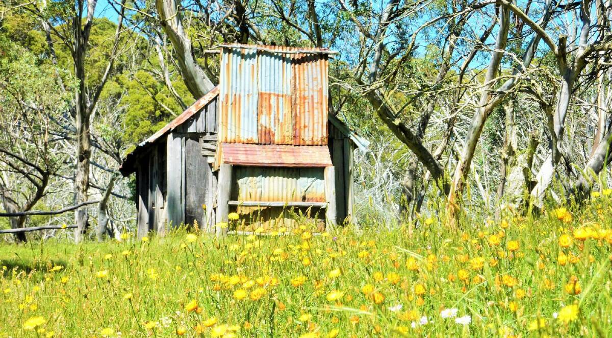 Cascade Hut surrounded by a meadow of wildflowers. Photo: Tim the Yowie Man