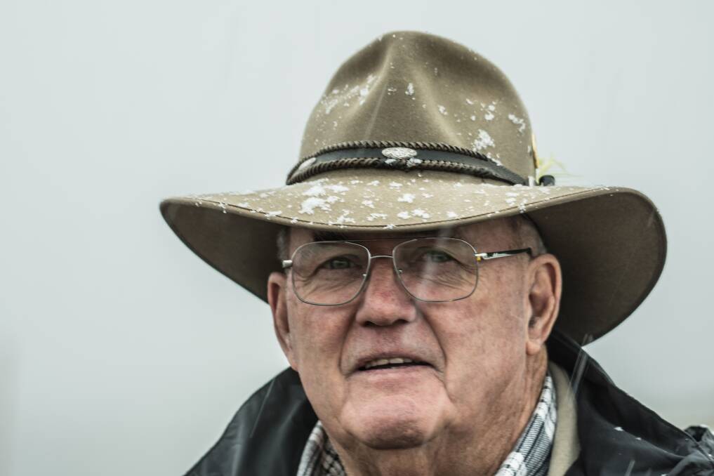 Peter Cochran, a former National MP and owner of horse trekking business Cochran Horse Treks, is one of the brumbies' biggest advocates. Photo: Karleen Minney