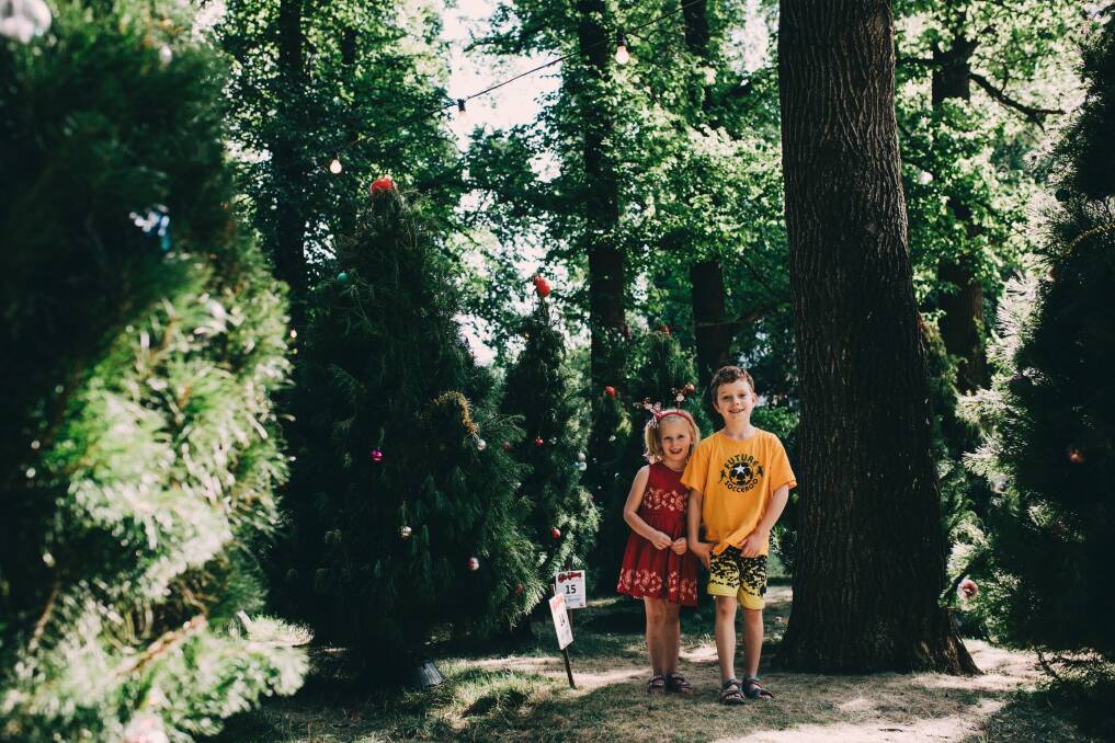 Siblings Amelie, 5, and Xavier Bryant, 7, of Calwell, playing amongst the Christmas trees.  Photo: Jamila Toderas