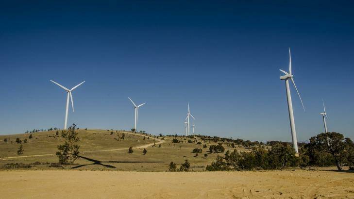 The Capital Wind Farm in Canberra. Photo: Jamila Toderas