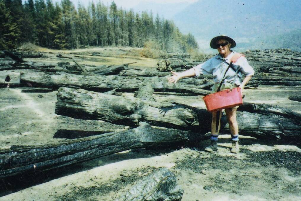 One of the original Gudgenby bushies, the late Eleanor Stodart, pictured sowing seed in a section of felled and burnt pine forest. Photo: Syd Comfort
