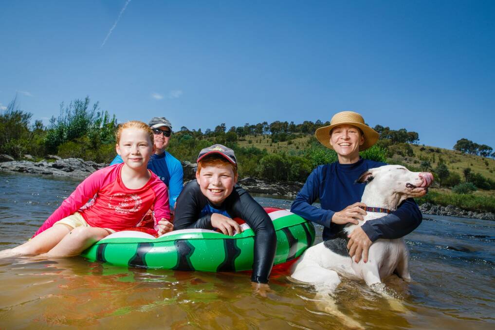 Cameron and Sarah-Jane Aitken from Ainslie cooled down from Friday's 35 degree heat with their children Tomas (9) and Ainsley (7) and their dog Stella at Point Hut. Photo: Sitthixay Ditthavong