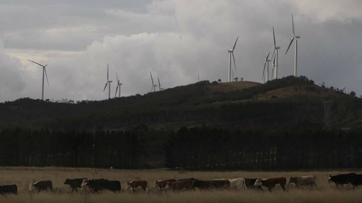 The Capital wind farm at Lake George could be up for sale. Photo: Glen McCurtayne