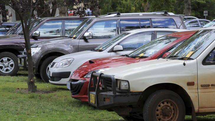 These vehicles were fined for being parked on the grass in Telopea Park. Photo: Graham Tidy
