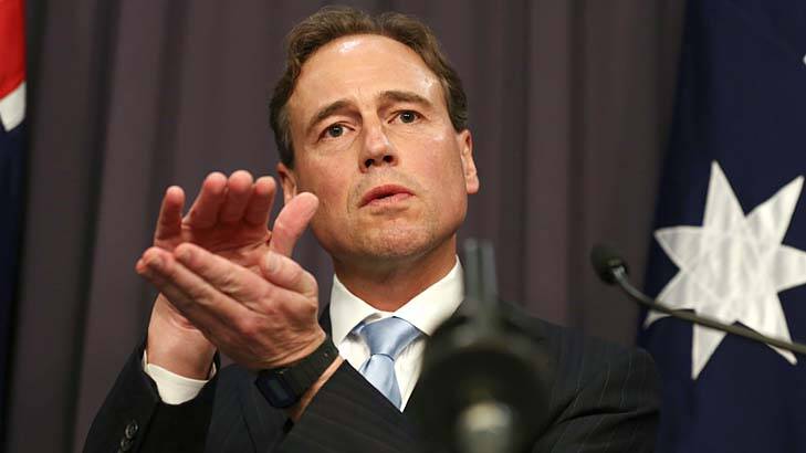 Working together: Greg Hunt, who met with his counterparts in Canberra. Photo: Alex Ellinghausen 
