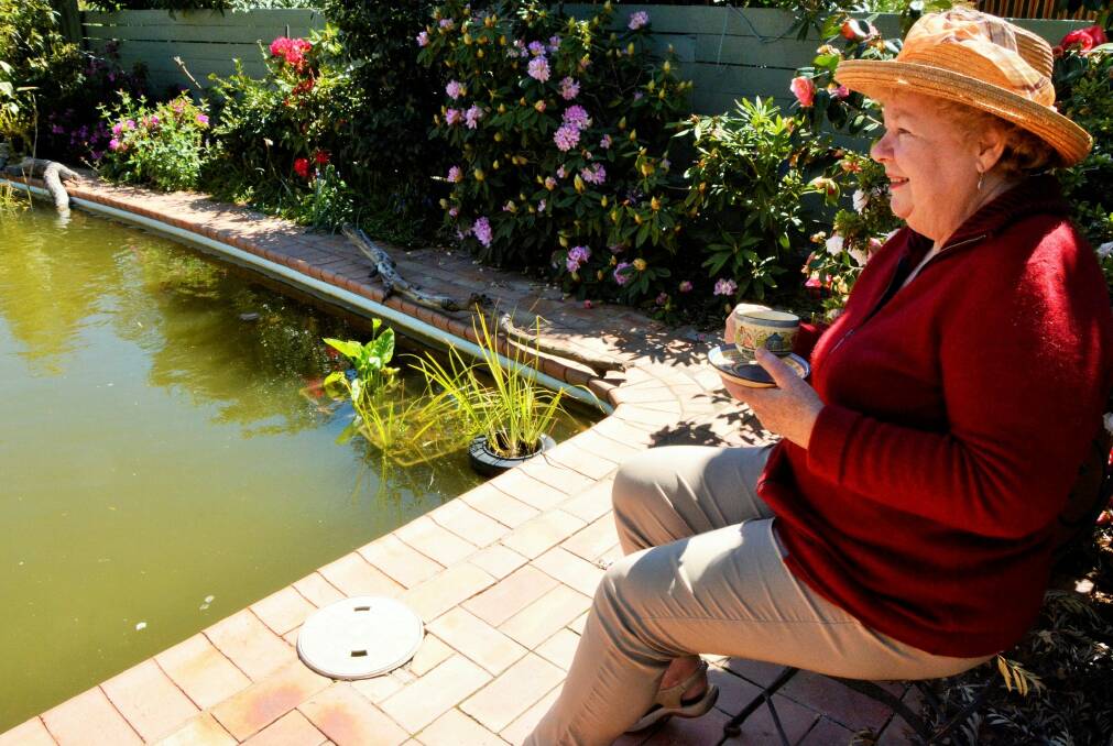 Margaret OCallaghan enjoys a cuppa overlooking her backyard pool which she has converted into a giant fish pond. Photo: Tim the Yowie Man