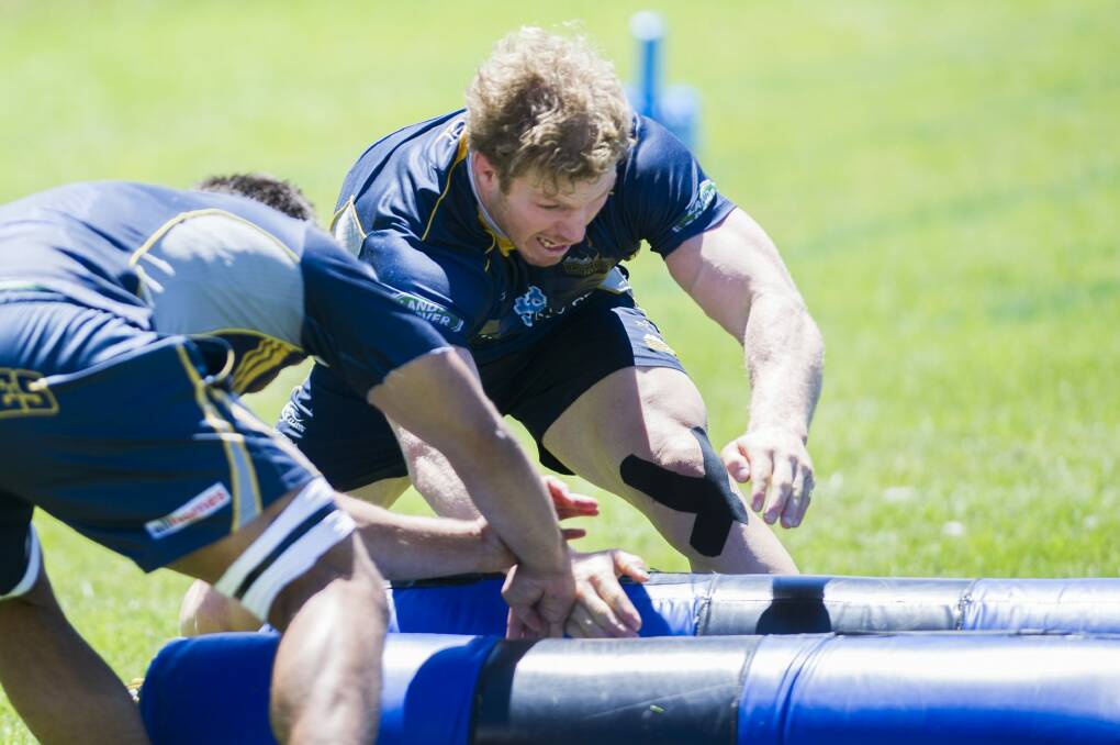 Brumbies flanker David Pocock ripping into training on Tuesday. Photo: Rohan Thomson