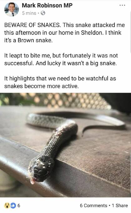 LNP MP Mark Robinson posted a warning about snakes on Sunday night after he said he was attacked. Photo: Mark Robinson/ Facebook