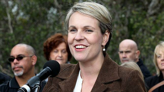 Tanya Plibersek says that if Labor were elected, funding for Victorian schools would increase. Photo: Janie Barrett