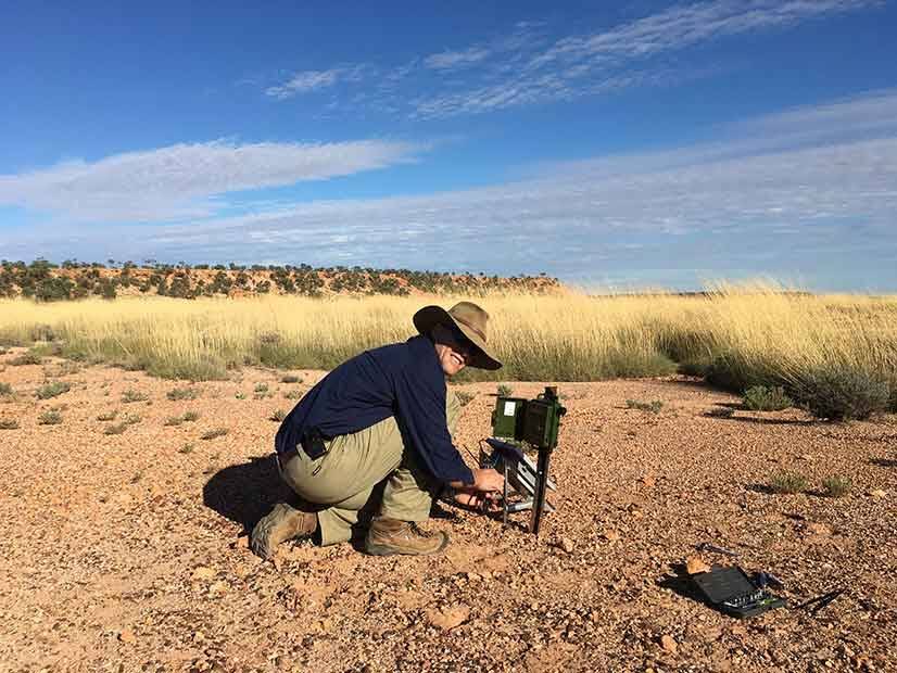 Nick Leseberg in the field in Western QLD where he is studying the elusive Night Parrot. Photo: Nick Leseberg