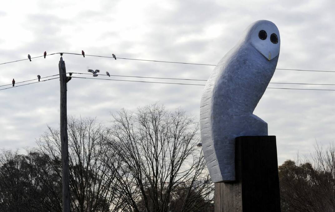 The giant owl sculpture on the corner of Belconnen Way and Benjamin Way. Photo: Graham Tidy