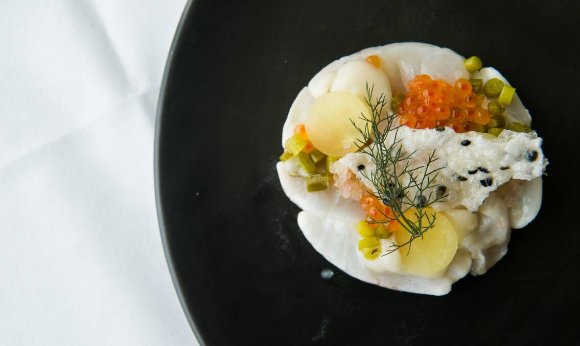 Murray cod, finger lime, Parliamentary Librarian's gin and apple is one of the six courses on the menu. Photo: Elesa Kurtz