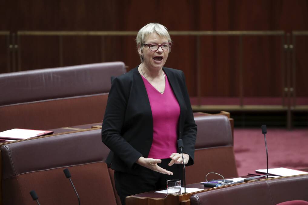 Senator Janet Rice, chair of the Senate environment and communications reference committee. Photo: Alex Ellinghausen