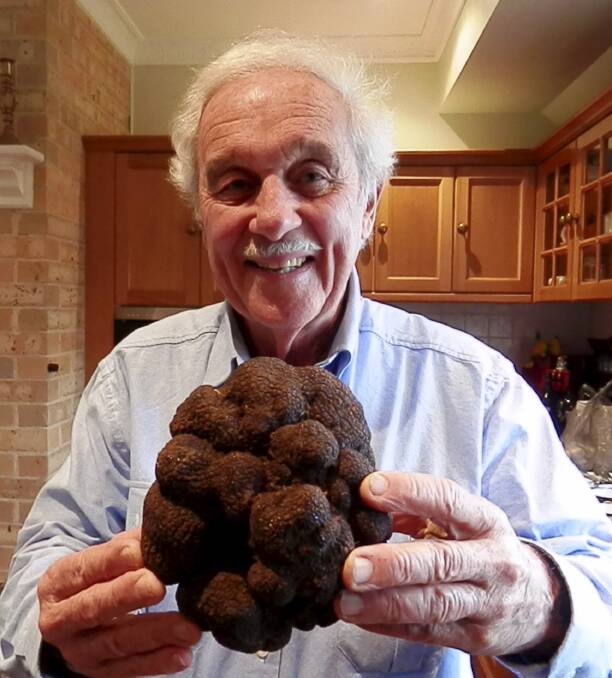 Ted Smith with a 1.172 kilogram truffle he found in Robertson. Photo: Destination Southern Highlands