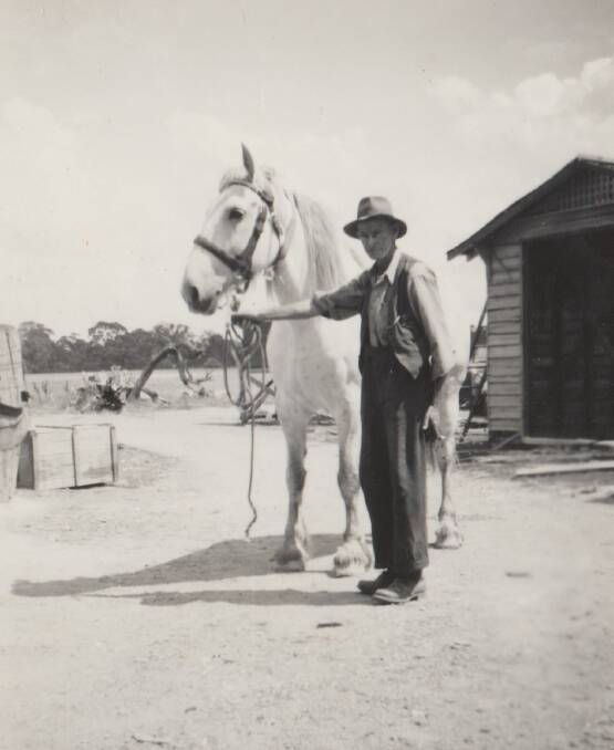 Tom Maloney with his faithful horse, Dobin photographed in Sutton in 1960s. Photo: Shirley Moore