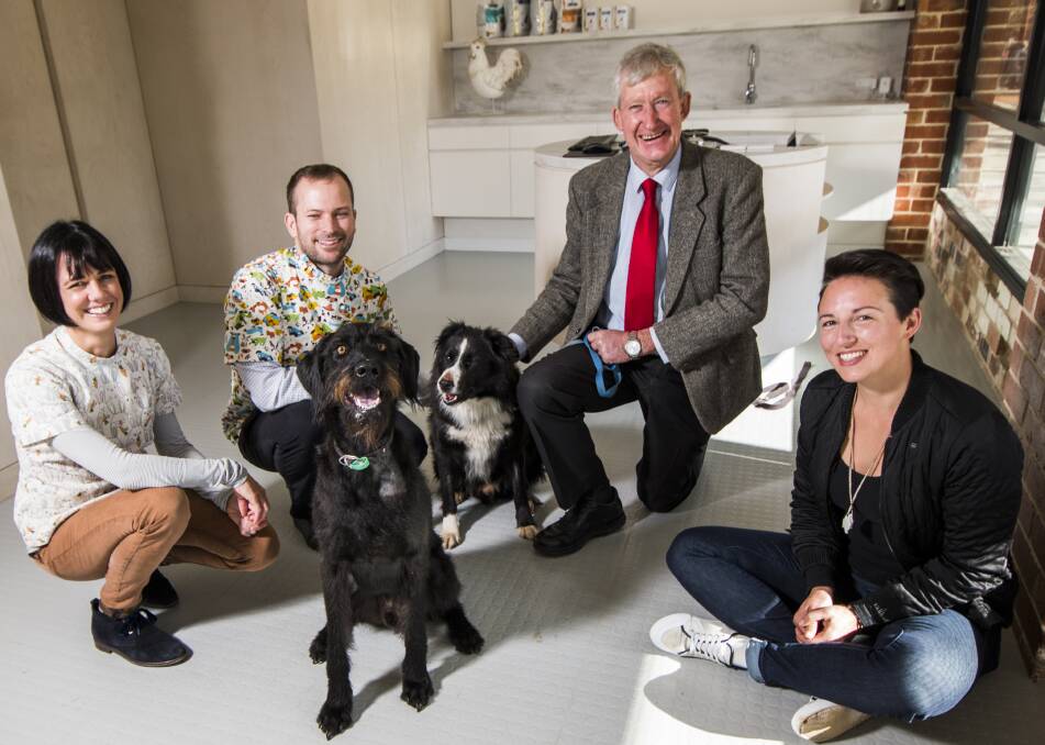 Veterinarians, Dr Amanda Keast and Dr Damien Solley performed life saving blood transfusion from dogs Bruce to Tom. Pictured with their owners Peter Karey and Jennifer Edmunds.   Photo: Elesa Kurtz