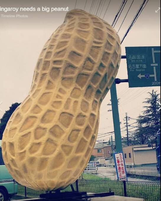 A big peanut near the Japanese city of Nagoya serves as inspiration on the group's Facebook site. Photo: supplied