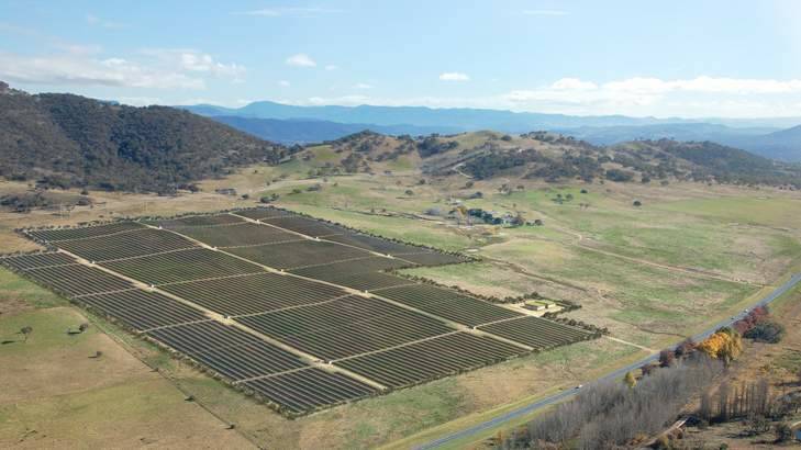 The government has attracted another potential solar farm to the territory. Photo: Supplied