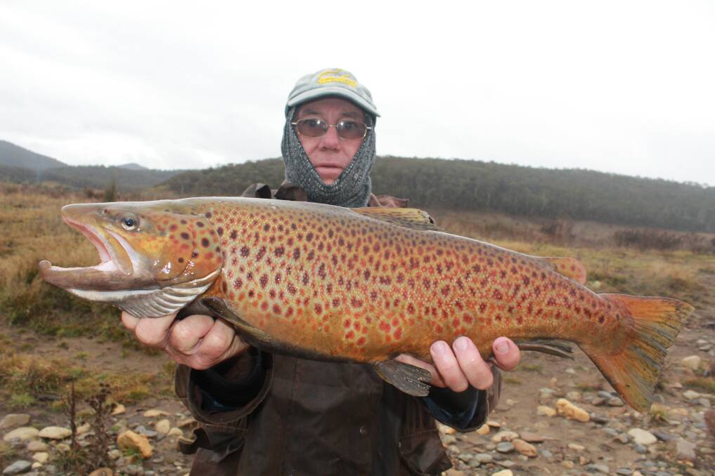 Plummeting temperatures, rain and snow in the mountains is good news for trout anglers. Photo: Supplied