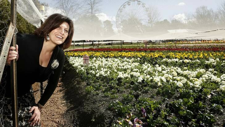 Floriade marketing and communications manager Adelina La Vita takes a sneak peak at the Questacon garden bed. Photo: Jeffrey Chan