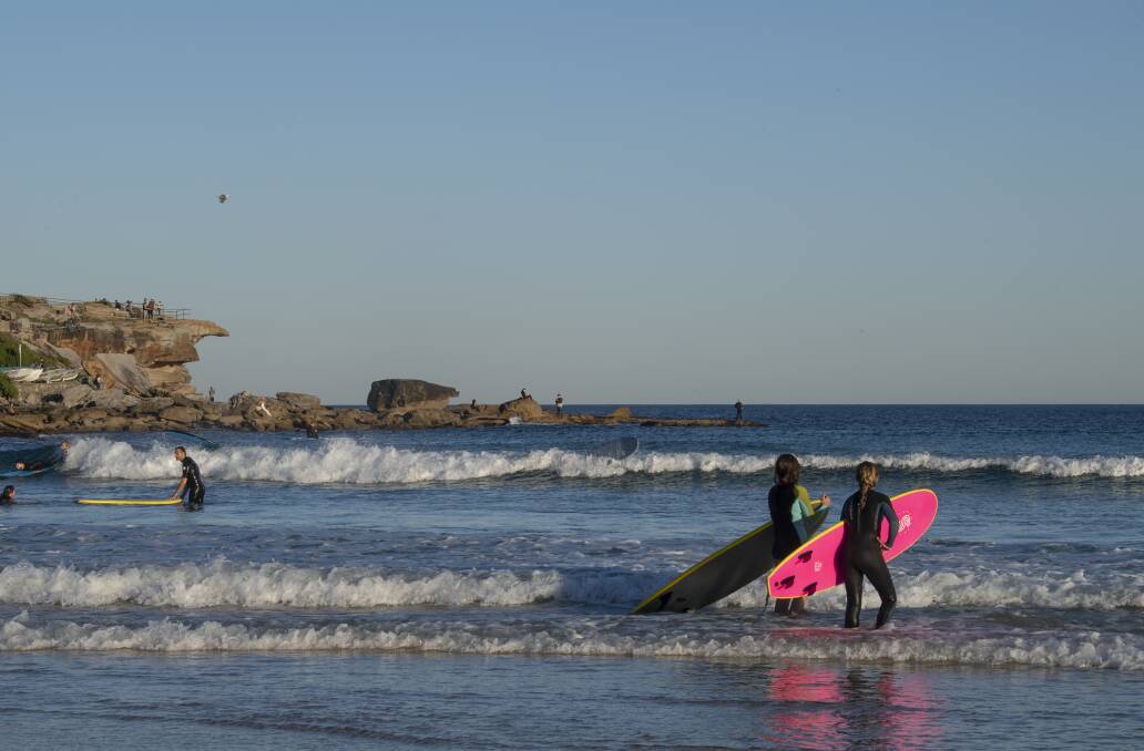 North Bondi is a popular place to learn to surf.  Photo: Louise Kennerley