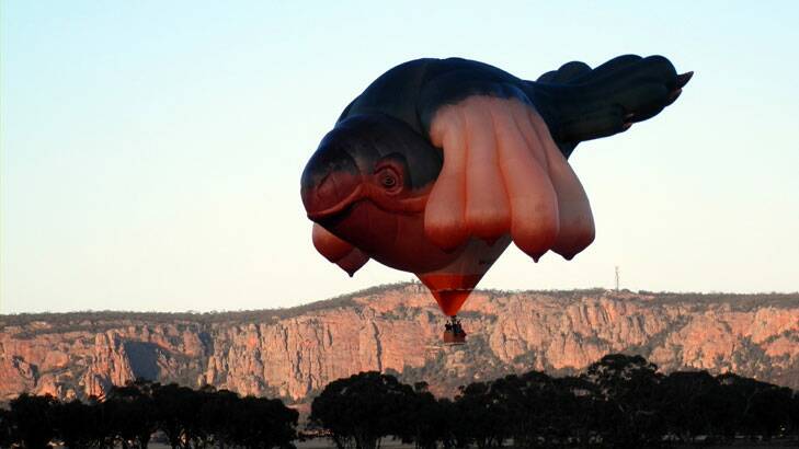 This balloon had locals wondering when it was spotted near Mt Arapiles, in Victoria, last month. Photo: Supplied