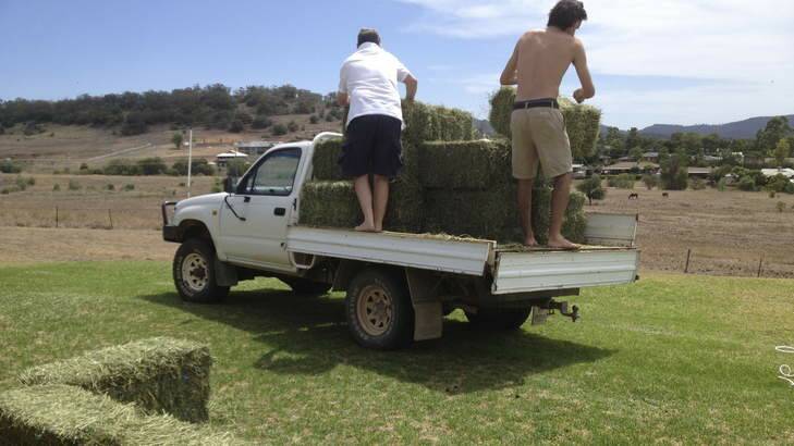 Step1: Layout 14 bales of hay in the shape of a pool. Photo: Chanel Gallen