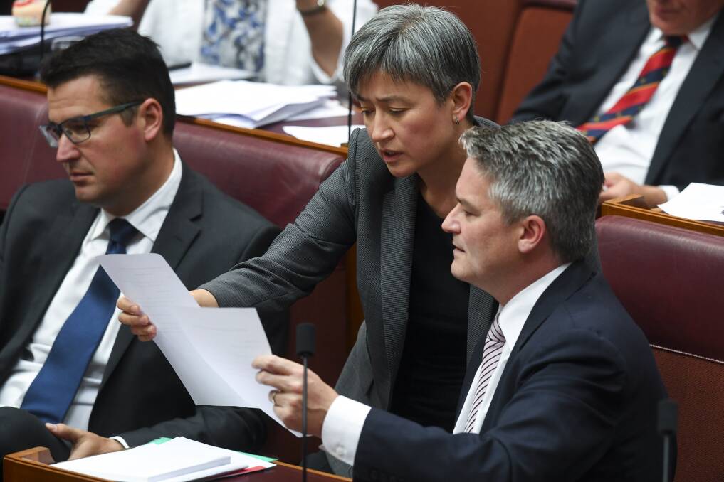 Labor's Penny Wong and the Coalition's Mathias Cormann consider a vote in the Senate. Photo: AAP