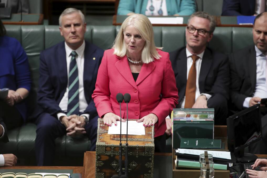 Industry Minister Karen Andrews is the first federal cabinet minister from Queensland.  Photo: Alex Ellinghausen