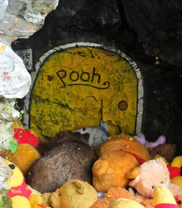 A wombat at Pooh Corner. Photo: Supplied