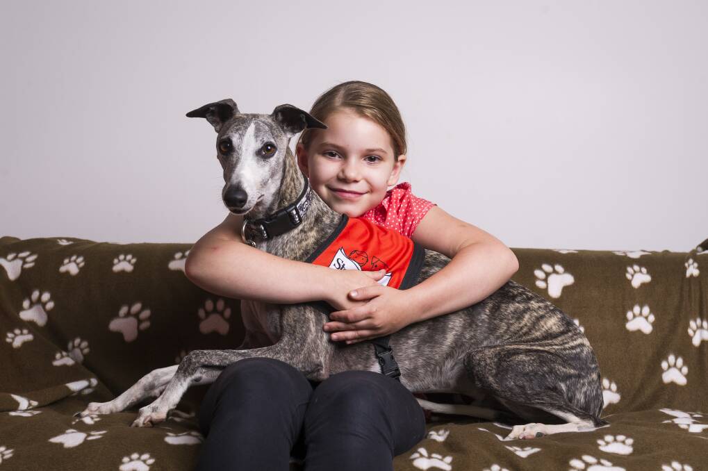 Iris Hallinan 8 with Dashi the story dog. Photo:  Dion Georgopoulos