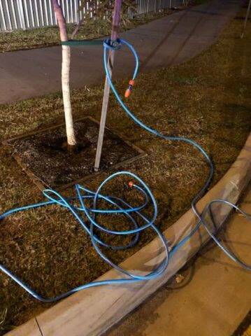 The garden hose was tried to two shrubs on either side of Goonawarra Drive in Mooloolaba. Photo: Queensland Police Service