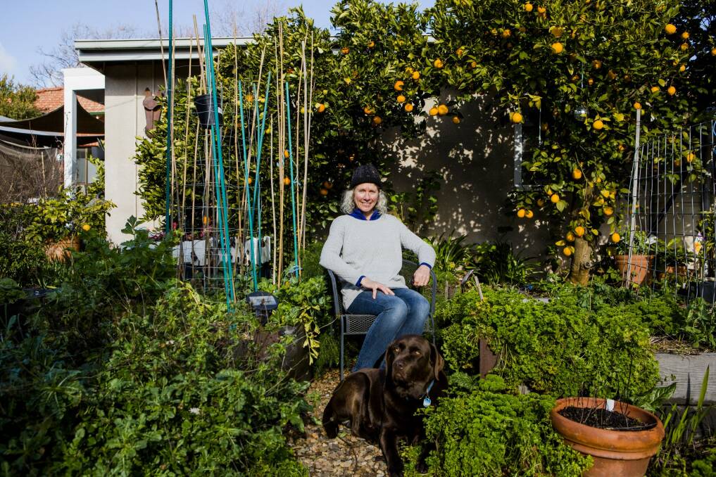 Artist Michele England lives in Braddon where she has created a potager-style garden.  Photo: Jamila Toderas