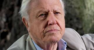 Sir David Attenborough, who narrates Seven Worlds, One Planet.