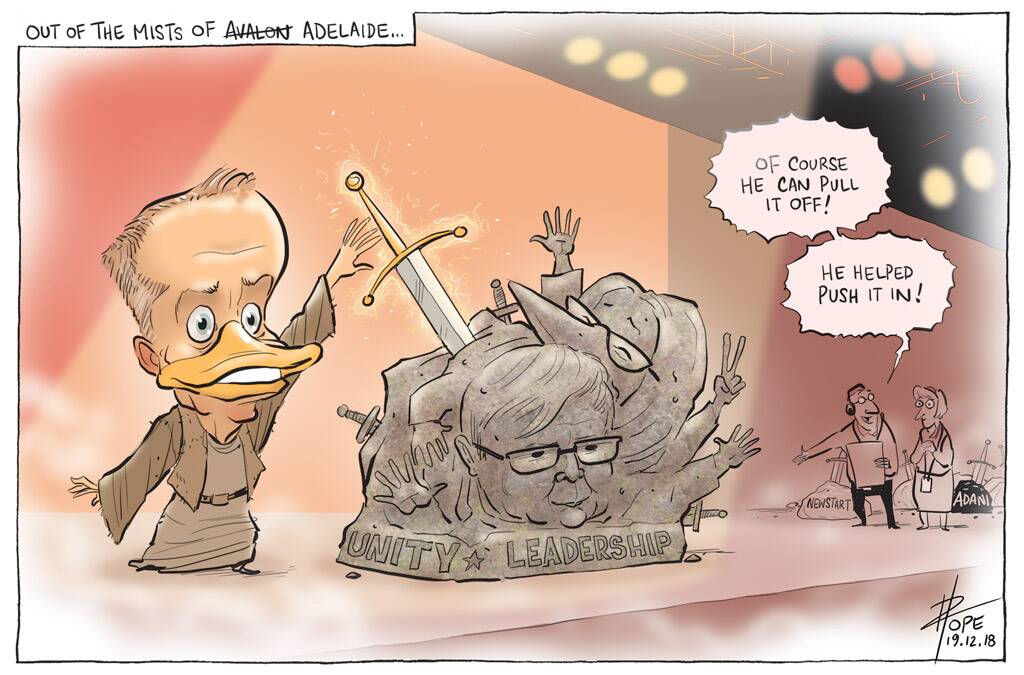The Canberra Times' editorial cartoon for Wednesday, December 19, 2018. Photo: David Pope
