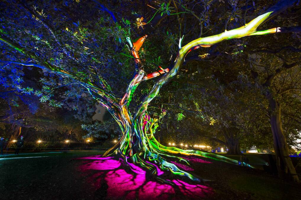 Vivid Sydney 2016: Synthesis is in the Royal Botanic Garden, which is one of several locations being used this year.  Photo: Destination NSW