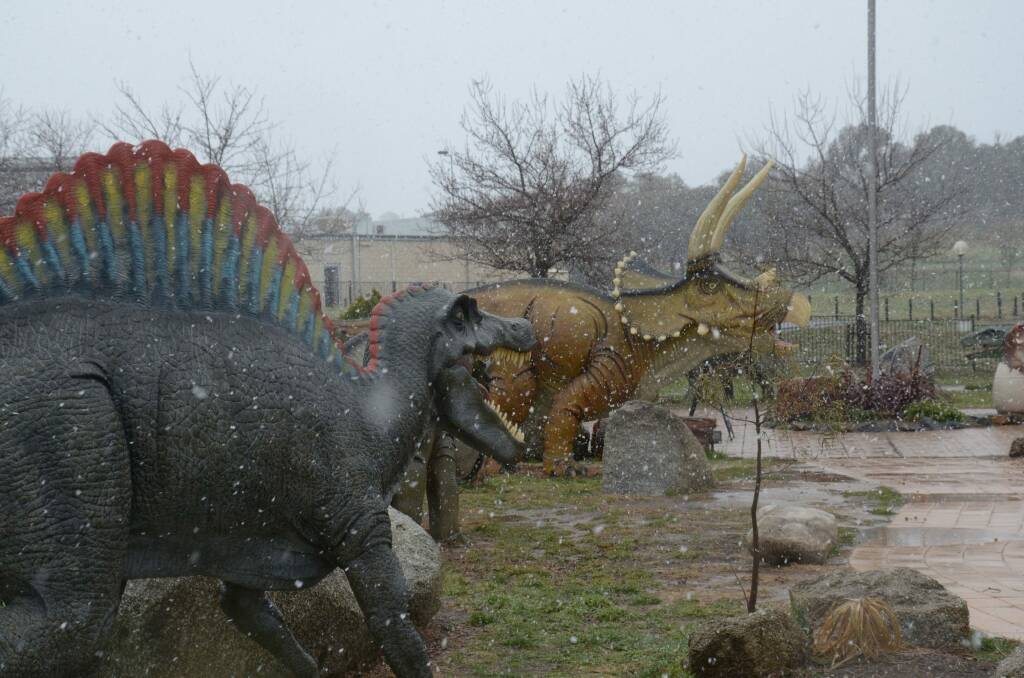 The National Dinosaur Museum has reported an ice age after snowfall Photo: National Dinosaur Museum