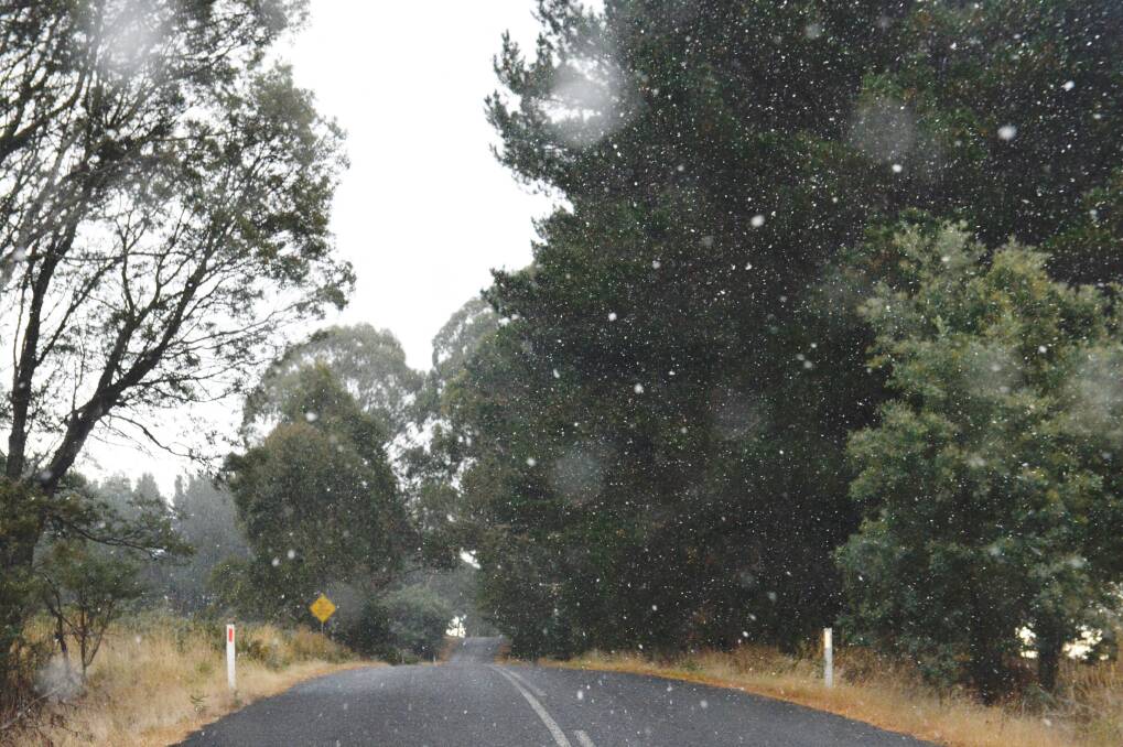 Snow flurries begin to fall in isolated high spots in the Central Tablelands near Black Springs. Photo: Nick Moir
