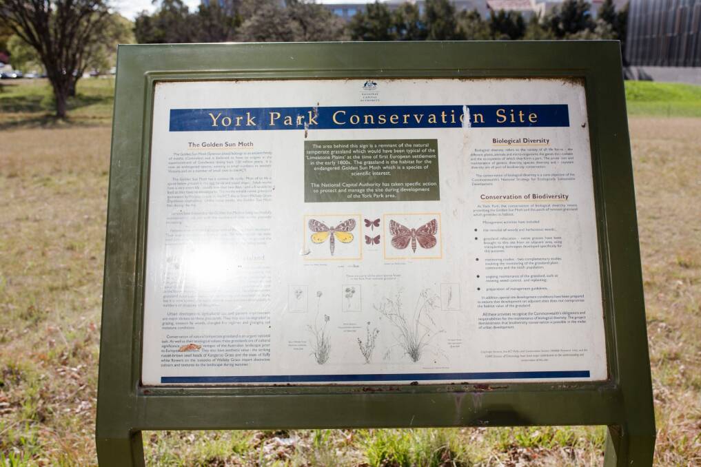 Canberra's York Park was named in honour of the royal family. Photo: Jamila Toderas