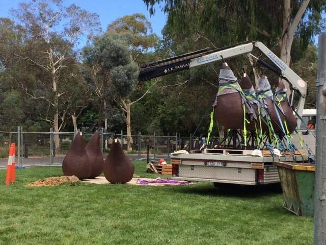 The National Gallery promises the pears will be relocated "not very far'' from their present position. Photo: Megan Doherty
