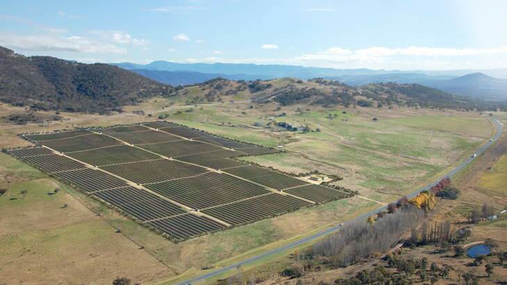 Solar panels on farmland, Royalla.            Solar 3MB image.jpg Photo: Supplied