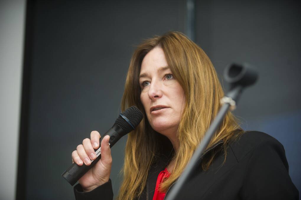 ACT Education Minister Yvette Berry says she was troubled by the Opposition's decision to air unidentified stories of school violence in the assembly. Photo: Dion Georgopoulos