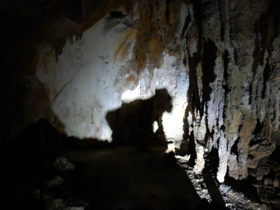Can you see the gorilla in this photo? Photo: Tim the Yowie Man