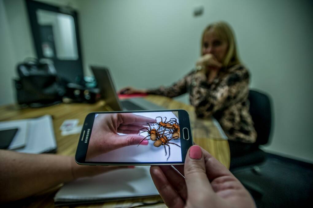 Virtual spiders walk over your  actual hand as the final step of arachnophobia therapy. Photo: Karleen Minney