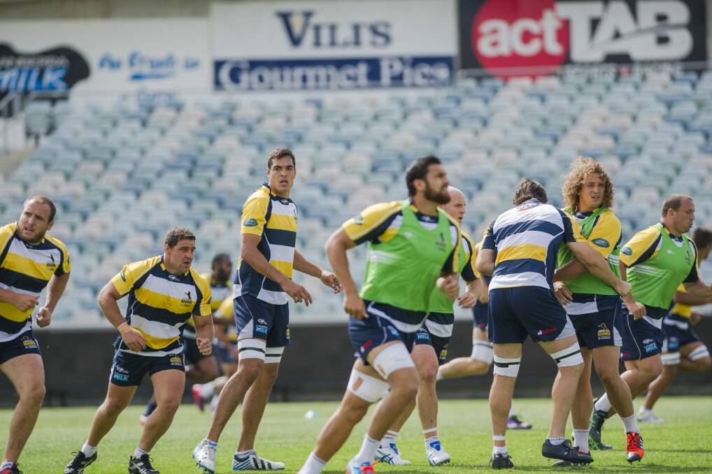 Big assignment: Rory Arnold trains with the Brumbies on Thursday. Photo: Jamila Toderas