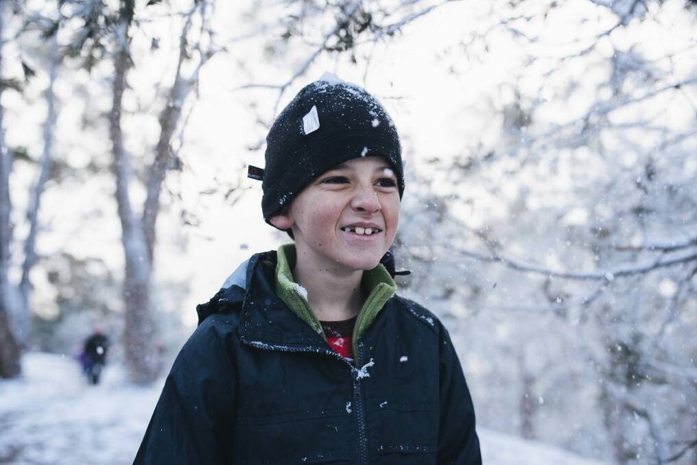 Samuel Bethune, 10, in the snow on Mt Ainslie. Photo: Rohan Thomson