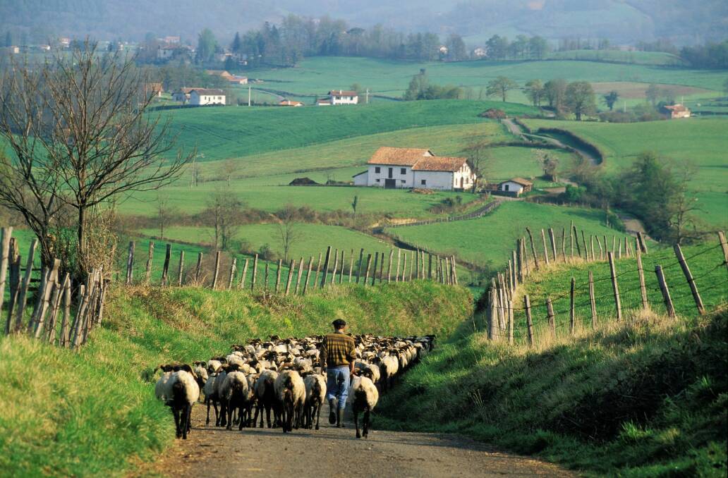 Most French people aspire to live in the countryside. Photo: AFP
