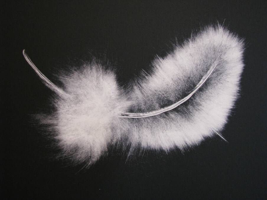 "Fallen Feather" by Peter McLean in The Endless Transience of Being at Megalo Print Studio + Gallery. Photo: Supplied